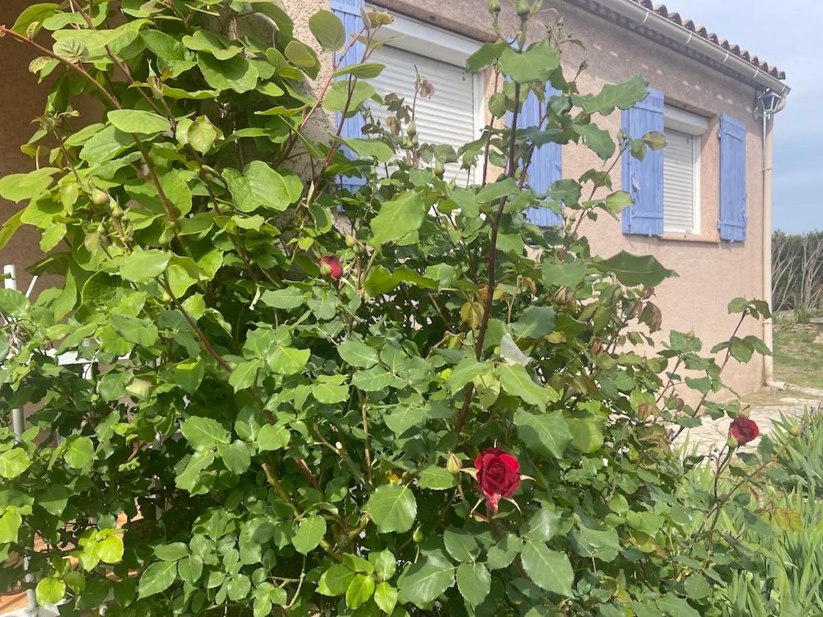 Confortable Villa De Vacances Entre Nimes, Le Pont Du Gard, Uzes, Arles, Avignon Marguerittes Esterno foto